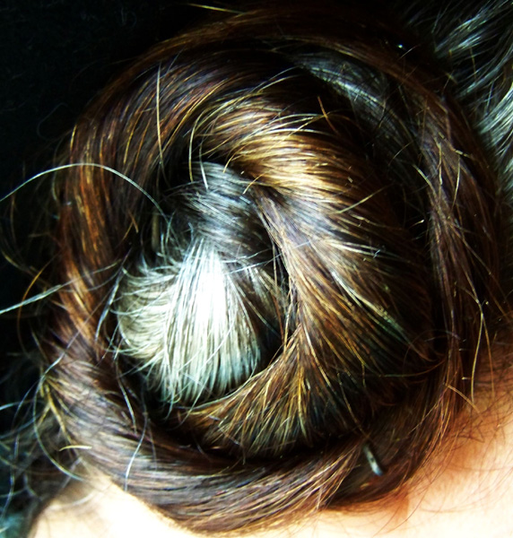 0006 Schnecke