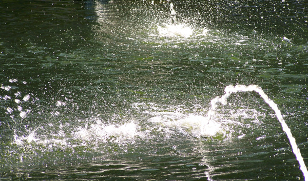 043 spritzig