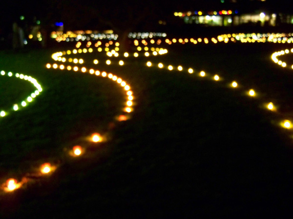 123 Licht